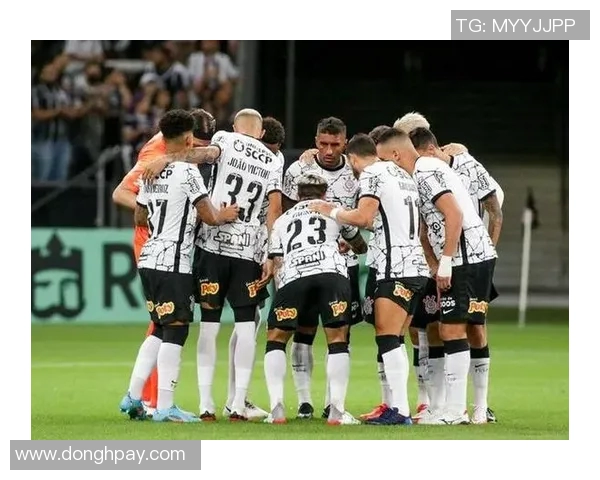 巴甲联赛精彩对决弗鲁米嫩迎战巴拉纳争夺胜利荣耀